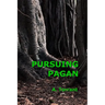 Pursuing Pagan