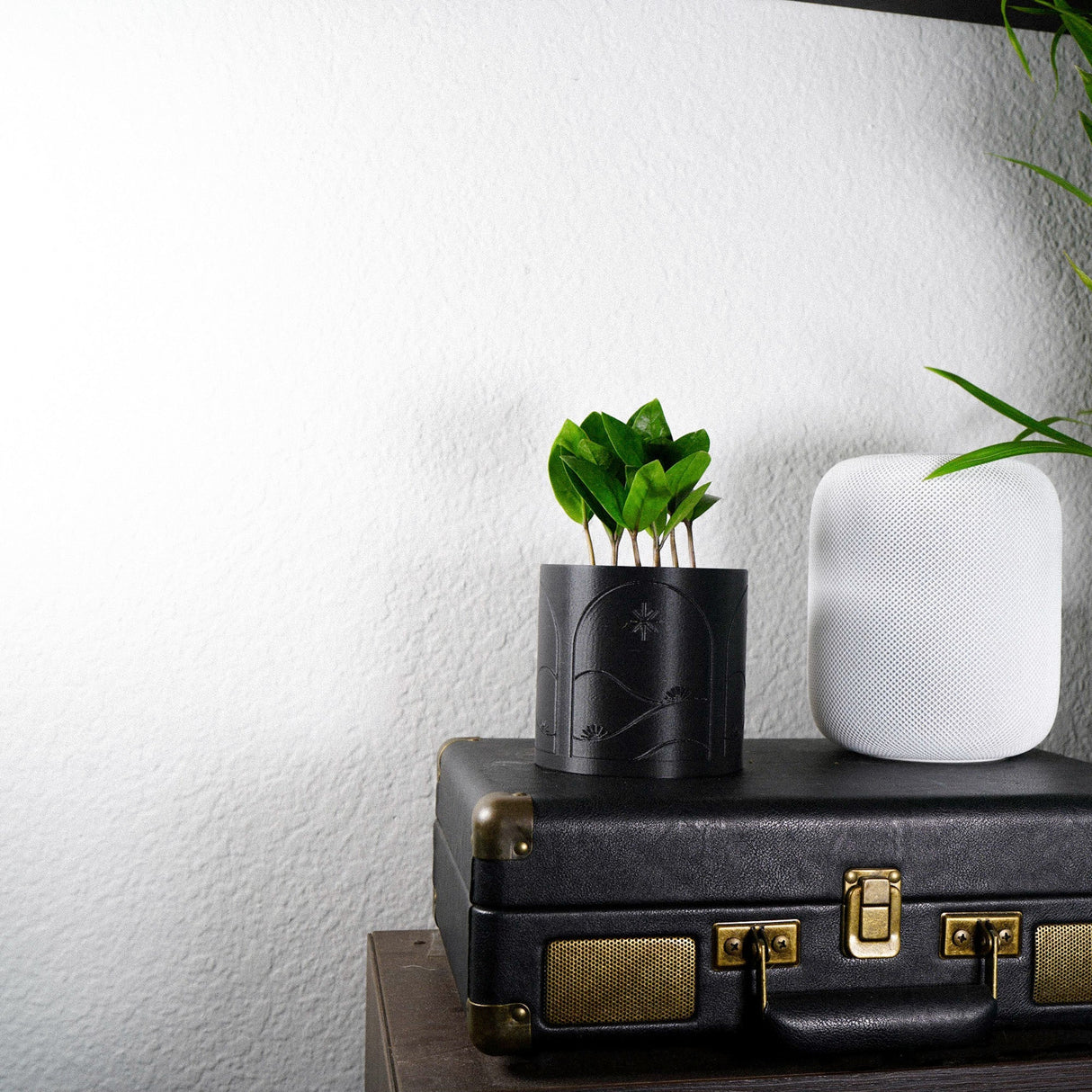 Starry Night Planter Pot with Drainage and Drip Tray, Unique Plant Gifts by Rosebud HomeGoods