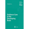Guidance Cues in the Developing Brain