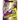 Rhinoceros vs. African Elephant