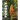 The Calm of the Forest 2025 Calendar