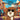 Cocoa the Doodle Detective