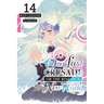 Our Last Crusade or the Rise of a New World, Vol. 14 (Light Novel)