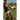 4th and a Longshot: My Quest To Become The First Black Punter In The NFL