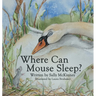 Where Can Mouse Sleep?