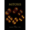 Mitosis