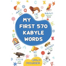 My first 570 Kabyle words: A bilingual English-Kabyle visual dictionary - My first bilingual picture book on everyday themes to learn Kabyle for
