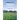 Herbicides and Plant Physiology