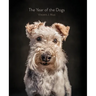 The Year of the Dogs