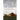 The Search: An Insider's Novel about a University President