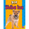 Shiba Inu