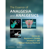 The Essence of Analgesia and Analgesics