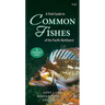 A Field Guide to Common Fishes of the Pacific Northwest