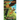 Omniscript