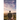 Dying to Meet the Newcomer