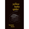 Yellow Barks Spider
