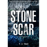 Stone Scar: Angeline & Augustine Book #1 Large Print Edition