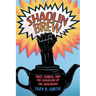 Shaolin Brew: Race, Comics, and the Evolution of the Superhero