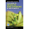 National Wildlife Federation Field Guide to Insects and Spiders & Related Species of North America