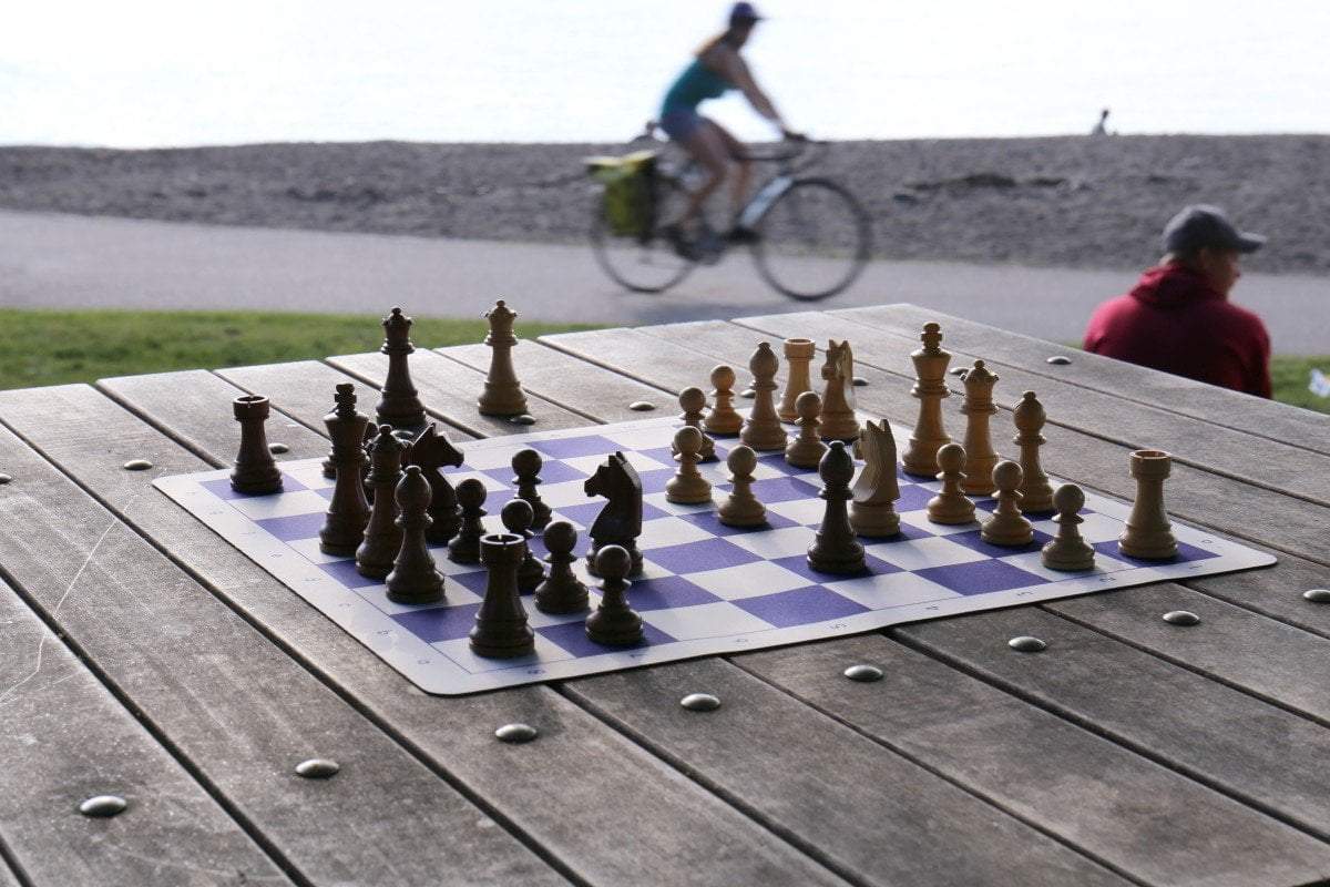 Timeless Flex Chess Set by Chess House