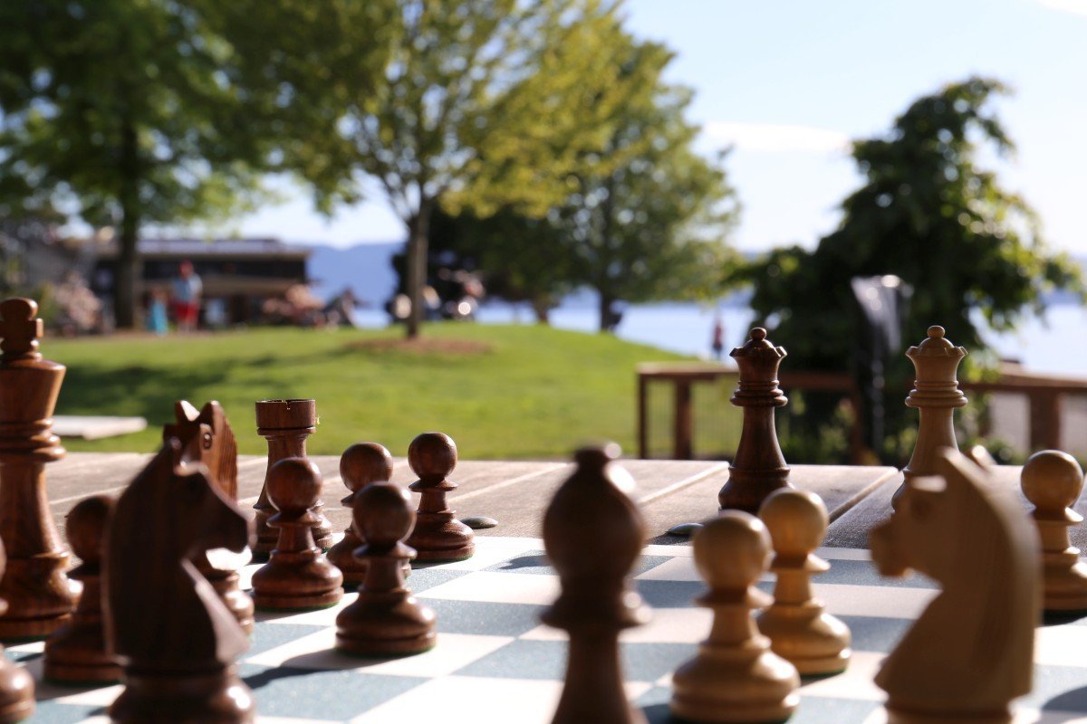 Timeless Flex Chess Set by Chess House