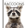 Raccoons