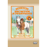 Showtym Adventures 5: Koolio the Problem Pony (Dyslexia-Friendly Edition)