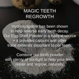 Shwally Magical Hydroxyapatite Cattle Bone & Egg Shell Tooth Powder by Shwally