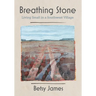 Breathing Stone: Living Small in a Southwest Village