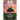 12 Universal Laws: Become A Law Of Attraction Master In 12 Steps