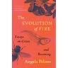 The Evolution of Fire: Essays on Crisis and Becoming