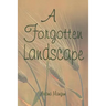 A Forgotten Landscape