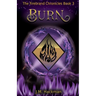 Burn: The Firebrand Chronicles Book 3