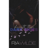 Beneath These Dark Skies: a dark smalltown romance