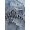 Field Notes from an Illusion