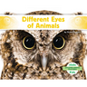 Different Eyes of Animals