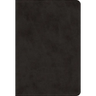 ESV Value Large Print Compact Bible (Trutone, Black)