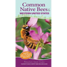 Common Native Bees of the Western United States: Your Way to Easily Identify Bees and Look-Alikes