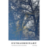 Extraordinary: How brokenness can make you extraordinary
