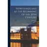 Newfoundland at the Beginning of the 20th Century: a Treatise of History and Development