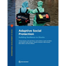 Adaptive Social Protection: Building Resilience to Shocks