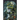Into the Deep, Dark Woods