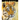Nic Bishop Big Cats