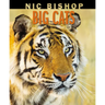 Nic Bishop Big Cats