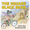 The Square Black Bear