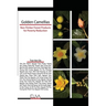 Golden Camellias: Non-Timber Forest Products for Poverty Reduction