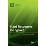 Plant Responses to Hypoxia