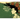 The Girl Who Flew Away