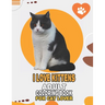 I Love Kittens Adult Coloring Book For Cat Lover: A Fun Easy, Relaxing, Stress Relieving Beautiful Cats Large Print Adult Coloring Book Of Kittens, Ki
