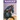 Blackjack: The Champion Morgan Horse